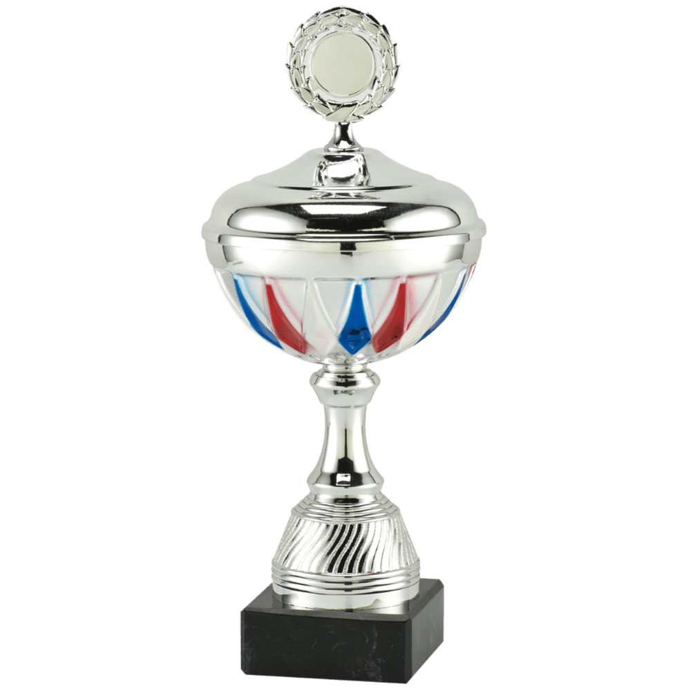 Trofee "Nederlandse vlag kleuren" - Medailles Online