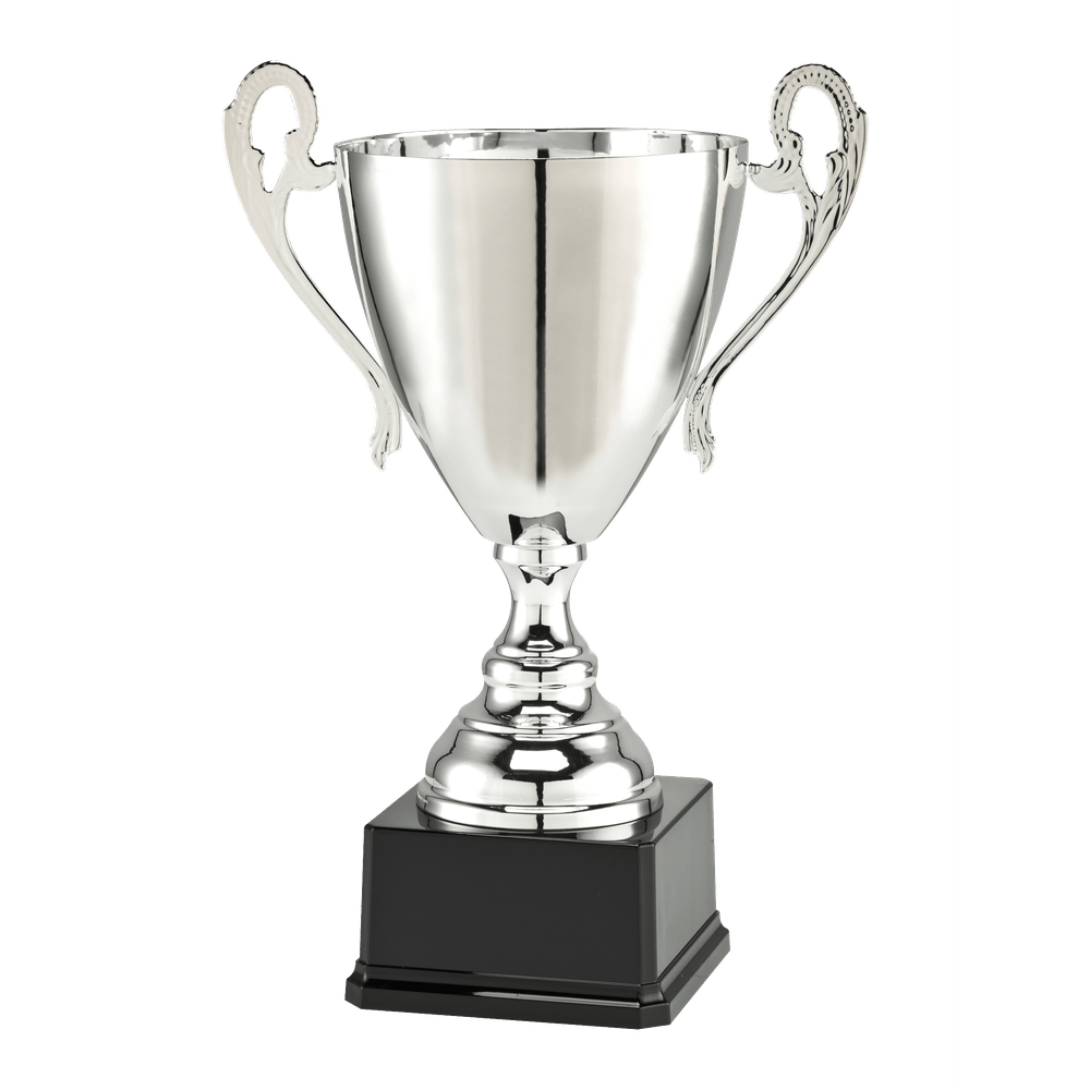 Trofee groot