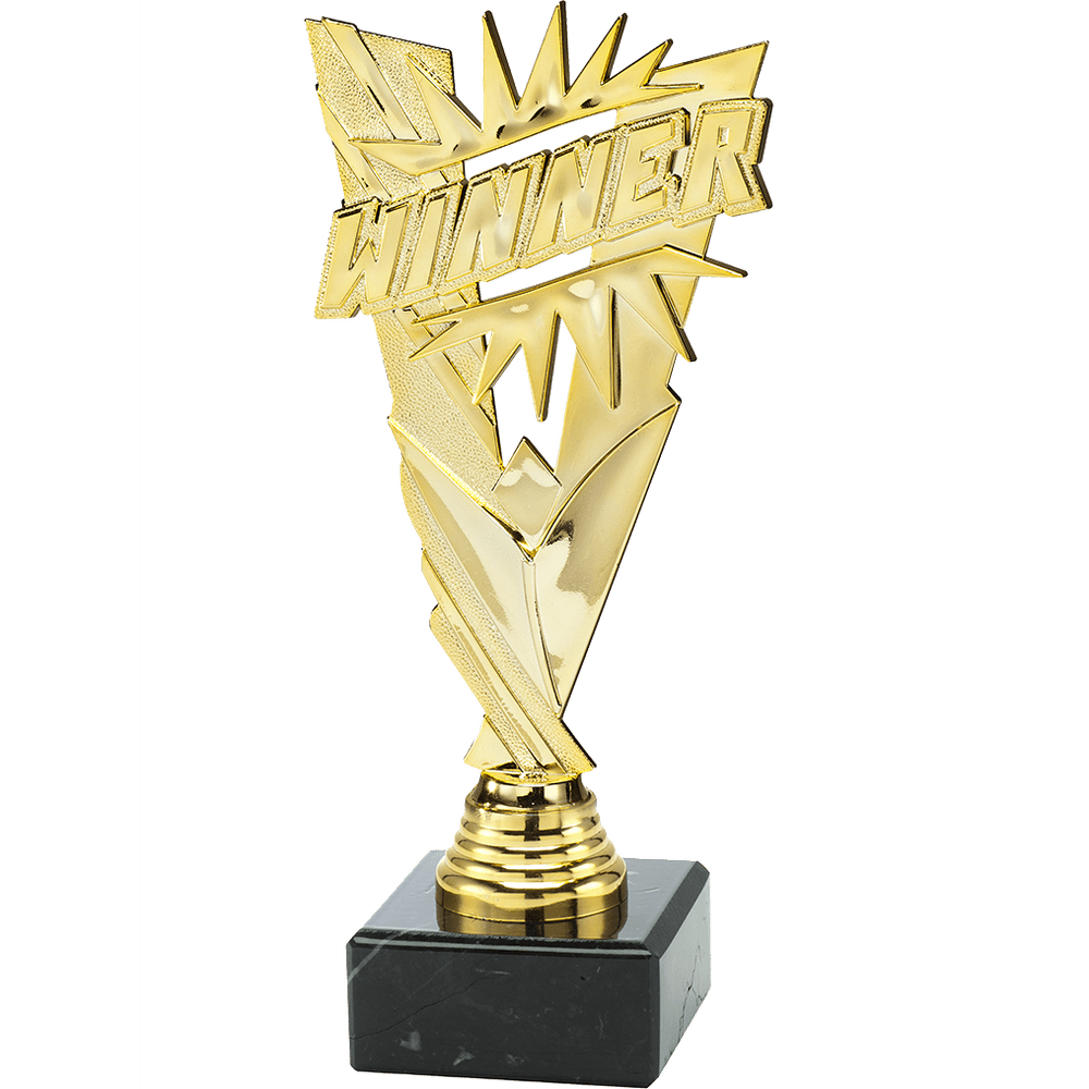 Trofee Winnaar - Medailles Online